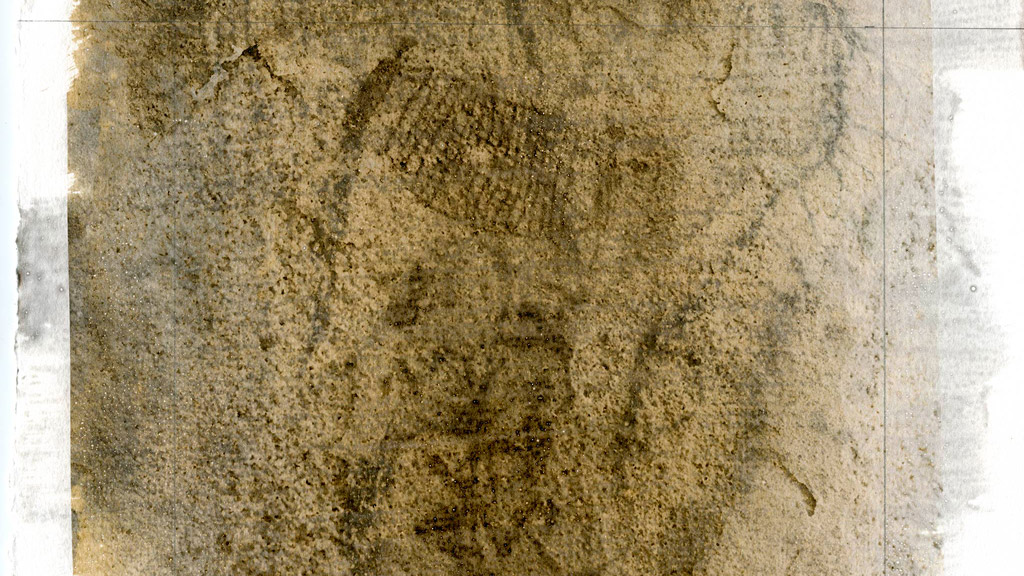 Toca do Pajeú - São Raimundo Nonato Piauí