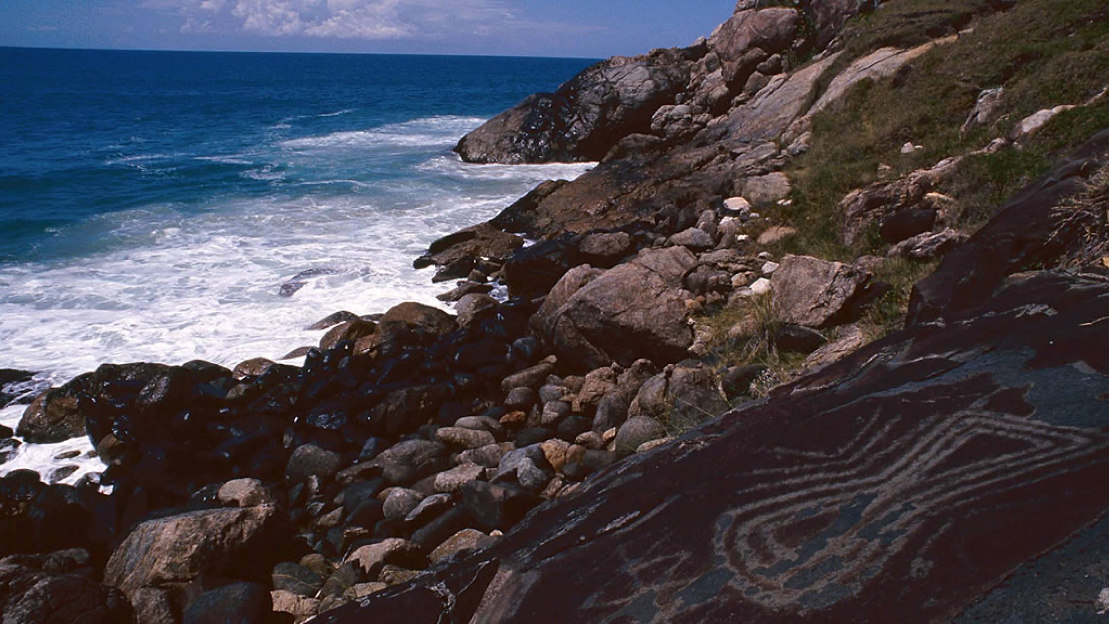 Ilha do Campeche - SC